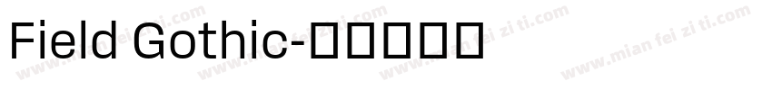 Field Gothic字体转换